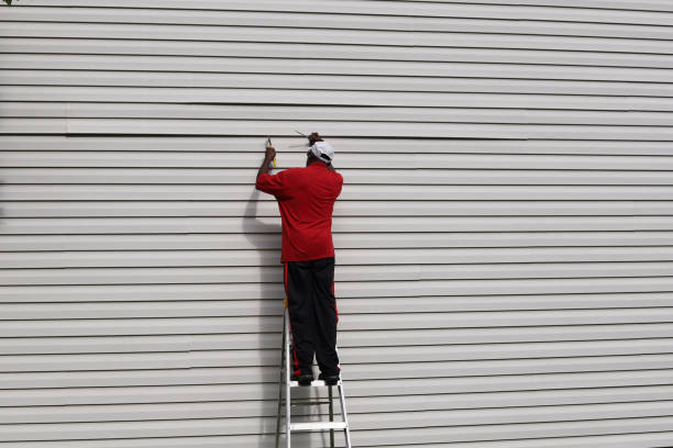 Best Vinyl Siding Installation  in Santa Fe, NM